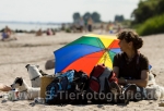 12 FC-Treffen